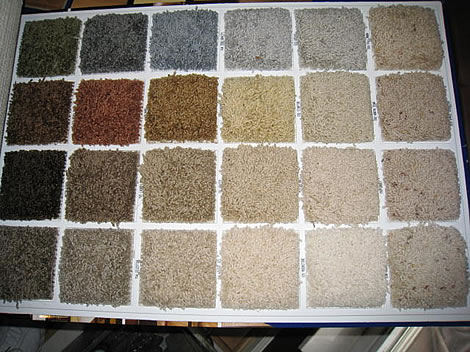 extended-color-palet-and-samples.jpg