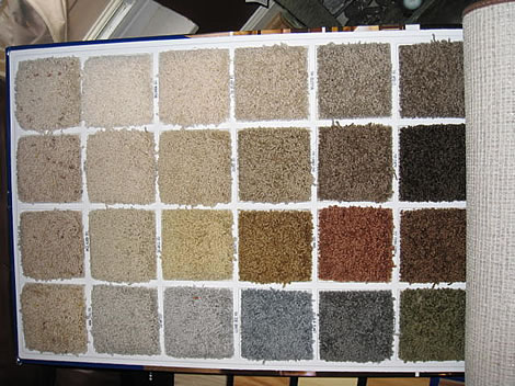 stainmaster-carpet-choices.jpg